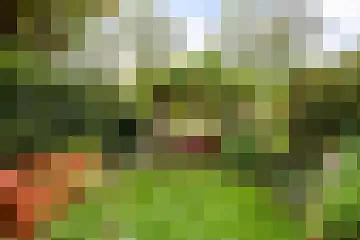 Langemoor 14 Nieuw-Vennep thumbnail 34