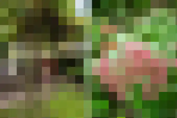 Langemoor 14 Nieuw-Vennep thumbnail 35