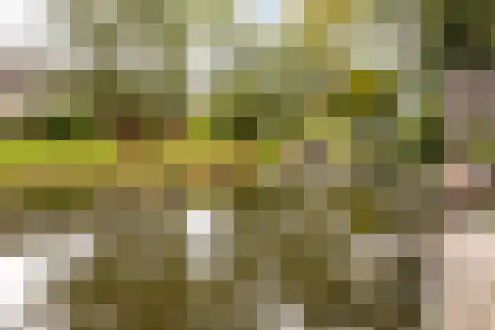 Langemoor 14 Nieuw-Vennep thumbnail 37