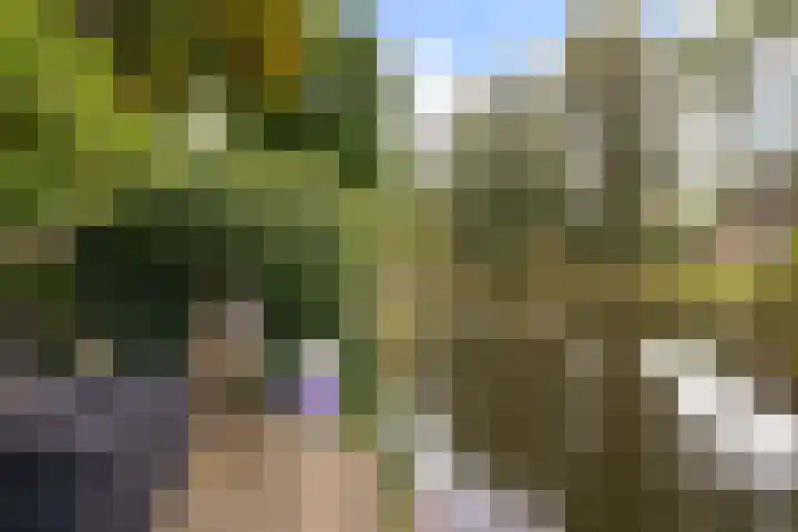 Langemoor 14 Nieuw-Vennep thumbnail 38