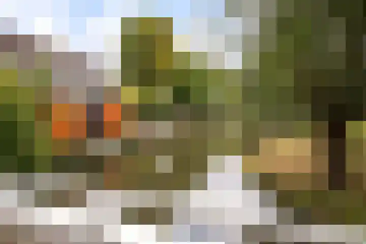 Langemoor 14 Nieuw-Vennep thumbnail 40
