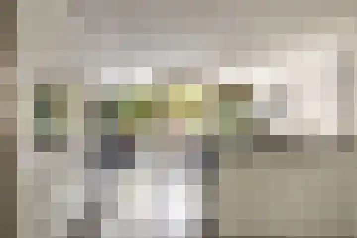 Langemoor 14 Nieuw-Vennep thumbnail 9