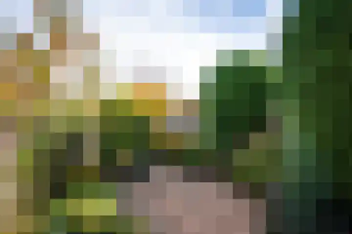 Langemoor 73 Nieuw-Vennep thumbnail 14