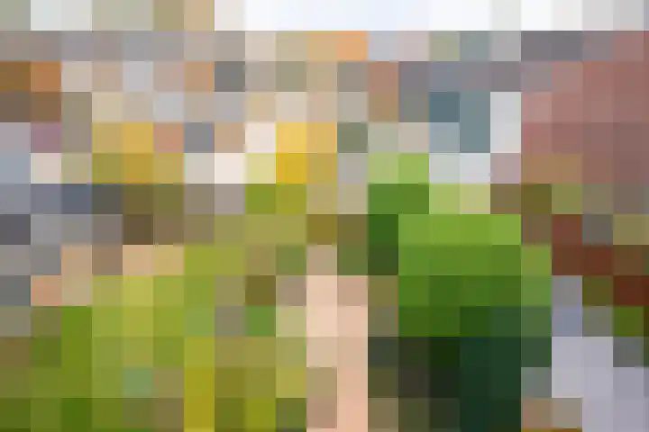 Langemoor 73 Nieuw-Vennep thumbnail 33
