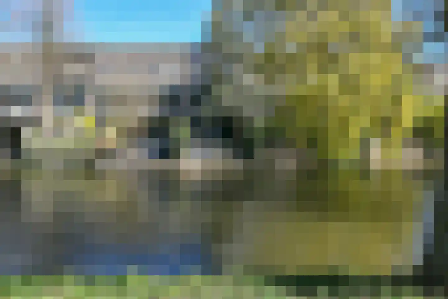 Langemoor 9 Nieuw-Vennep thumbnail 14