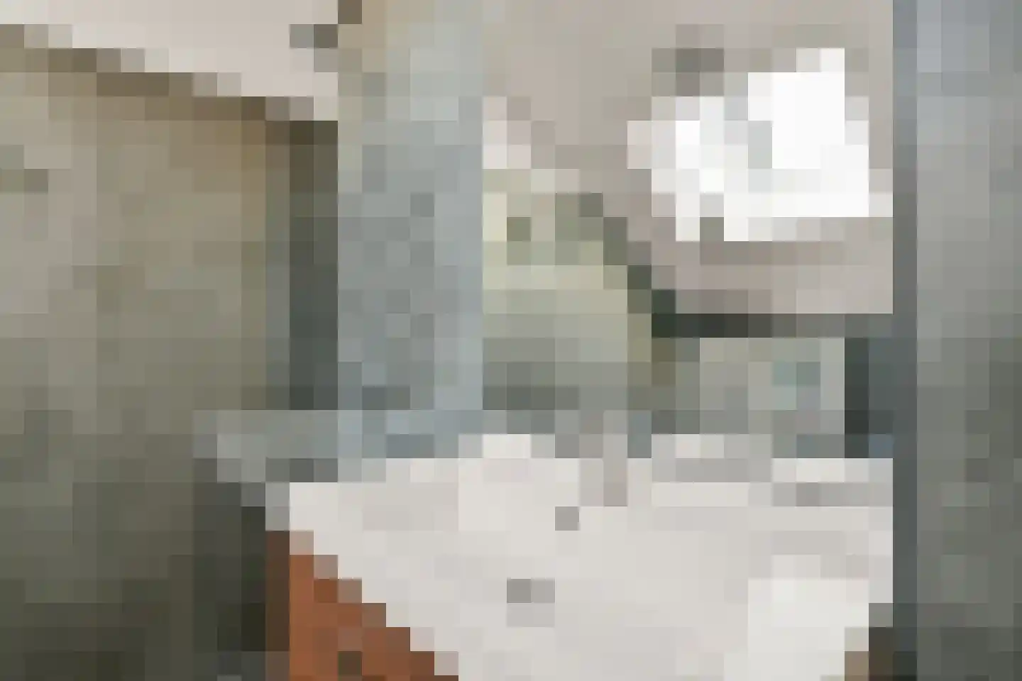 Langemoor 9 Nieuw-Vennep thumbnail 33