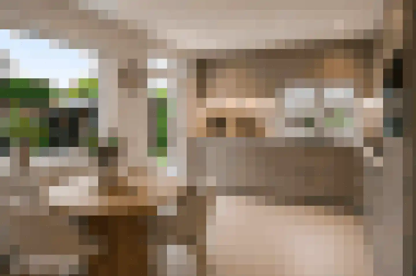 Langen Akker 10 Berg en Terblijt thumbnail 10