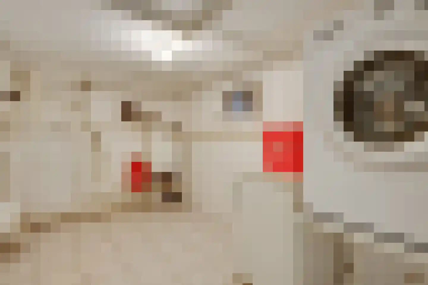 Langen Akker 10 Berg en Terblijt thumbnail 20