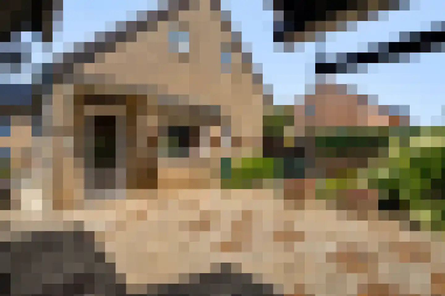 Langen Akker 10 Berg en Terblijt thumbnail 23