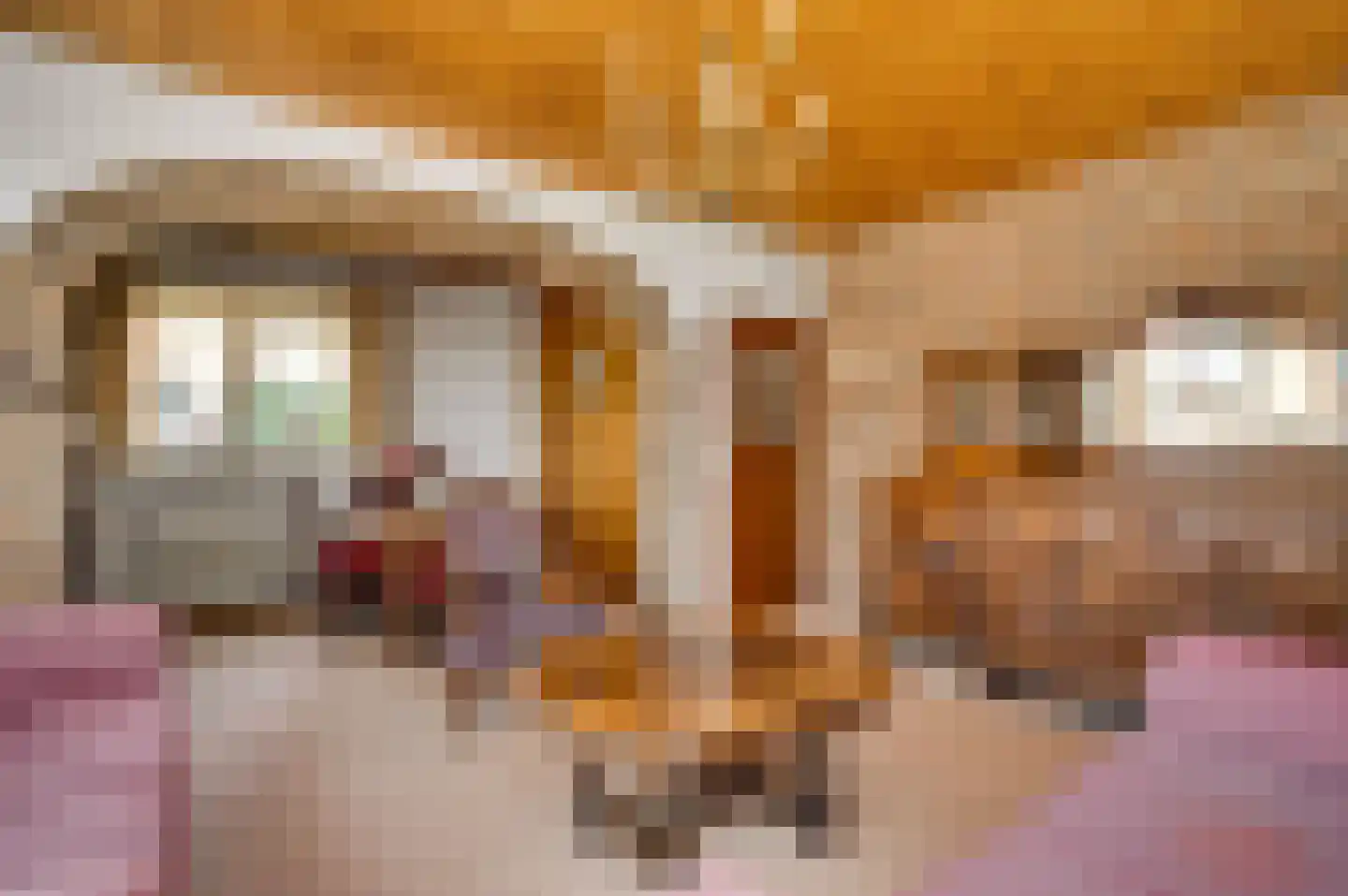 Langen Akker 10 Berg en Terblijt thumbnail 4