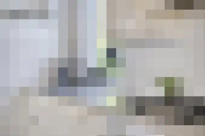 Langen Akker 146 Berg en Terblijt thumbnail 12