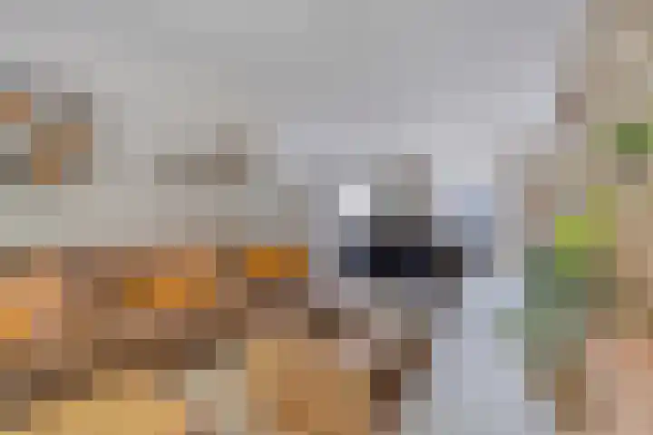 Langen Akker 146 Berg en Terblijt thumbnail 17