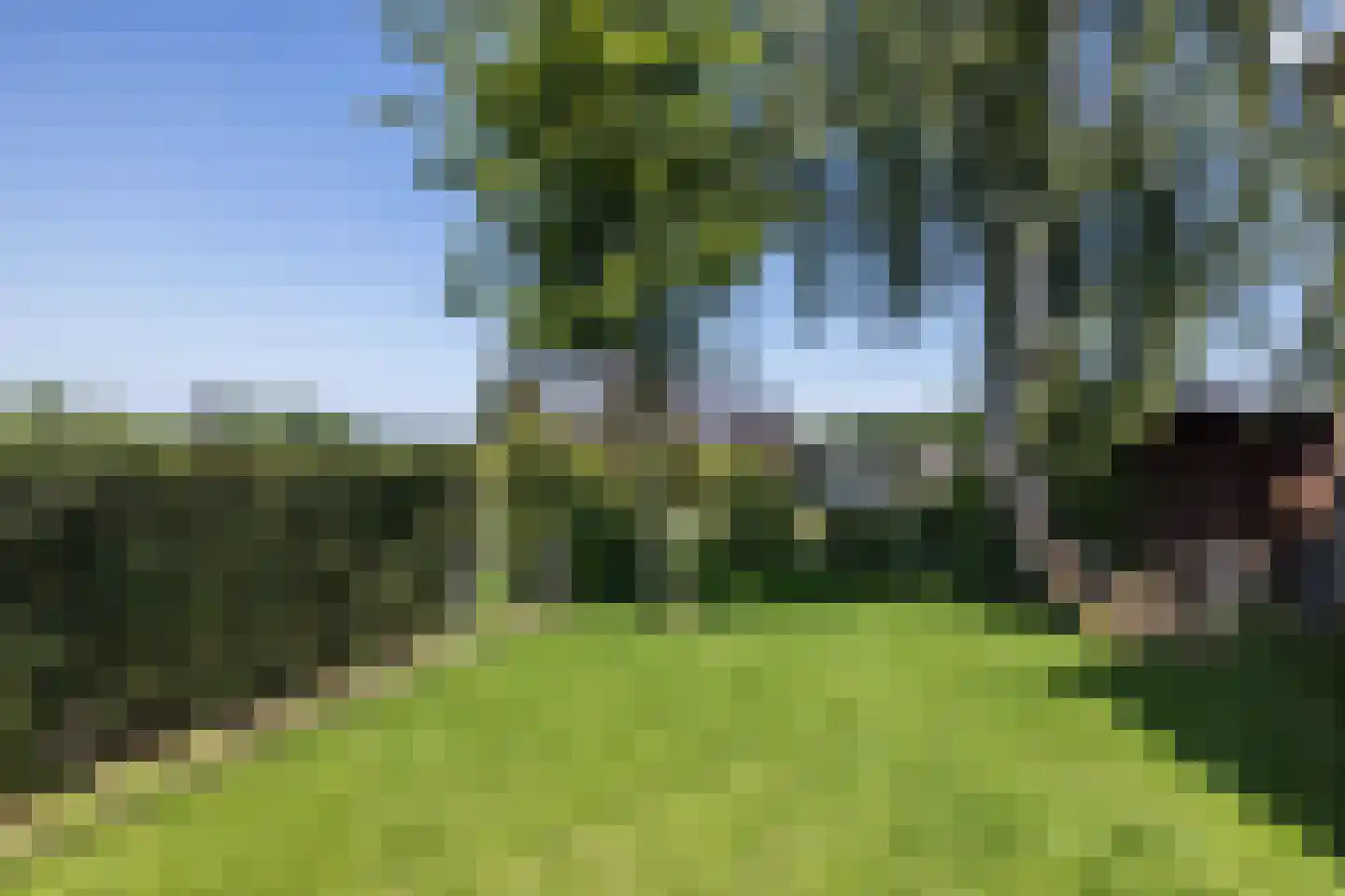 Langen Akker 7 Berg en Terblijt thumbnail 32