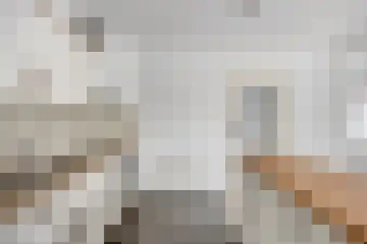 Langen Akker 70 Berg en Terblijt thumbnail 16