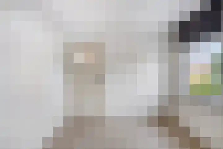 Langen Akker 70 Berg en Terblijt thumbnail 27