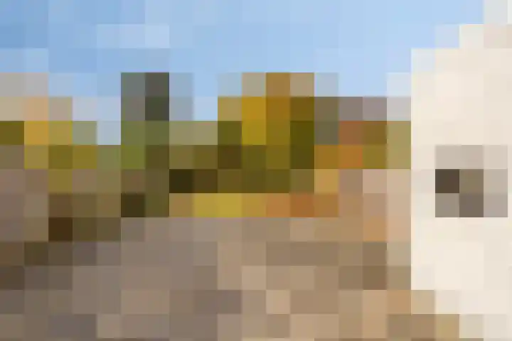Langen Akker 70 Berg en Terblijt thumbnail 30