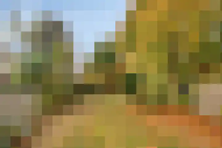 Langen Akker 70 Berg en Terblijt thumbnail 35