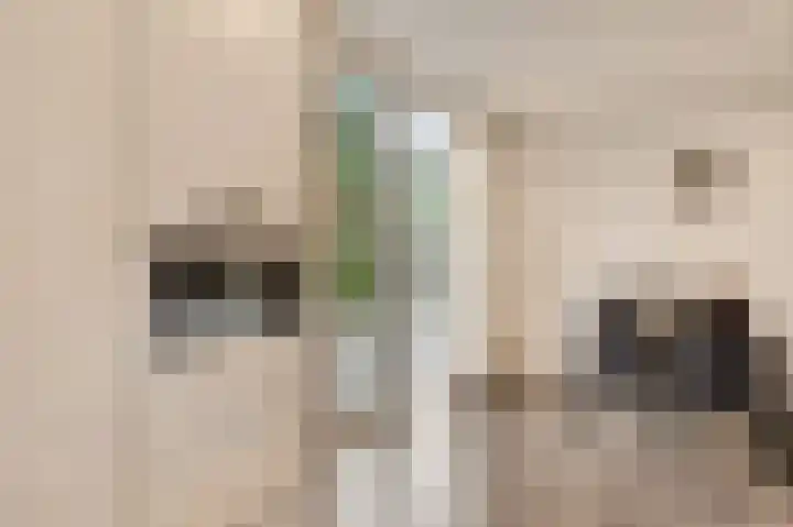 Langen Akker 8 Berg en Terblijt thumbnail 9