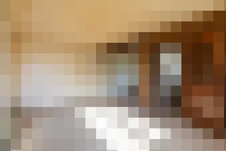 Langen Akker 96 Berg en Terblijt thumbnail 6