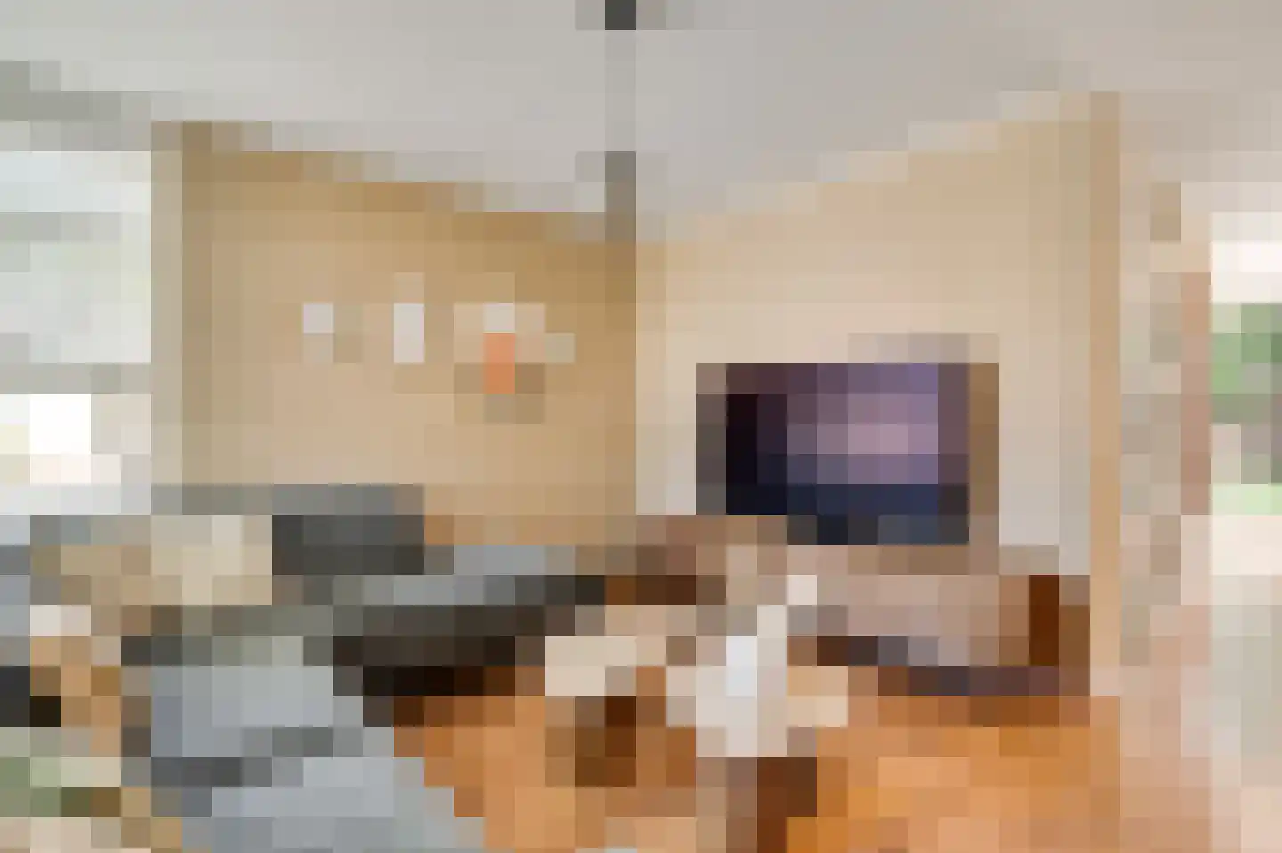 Langen Dries 24 Herten thumbnail 13