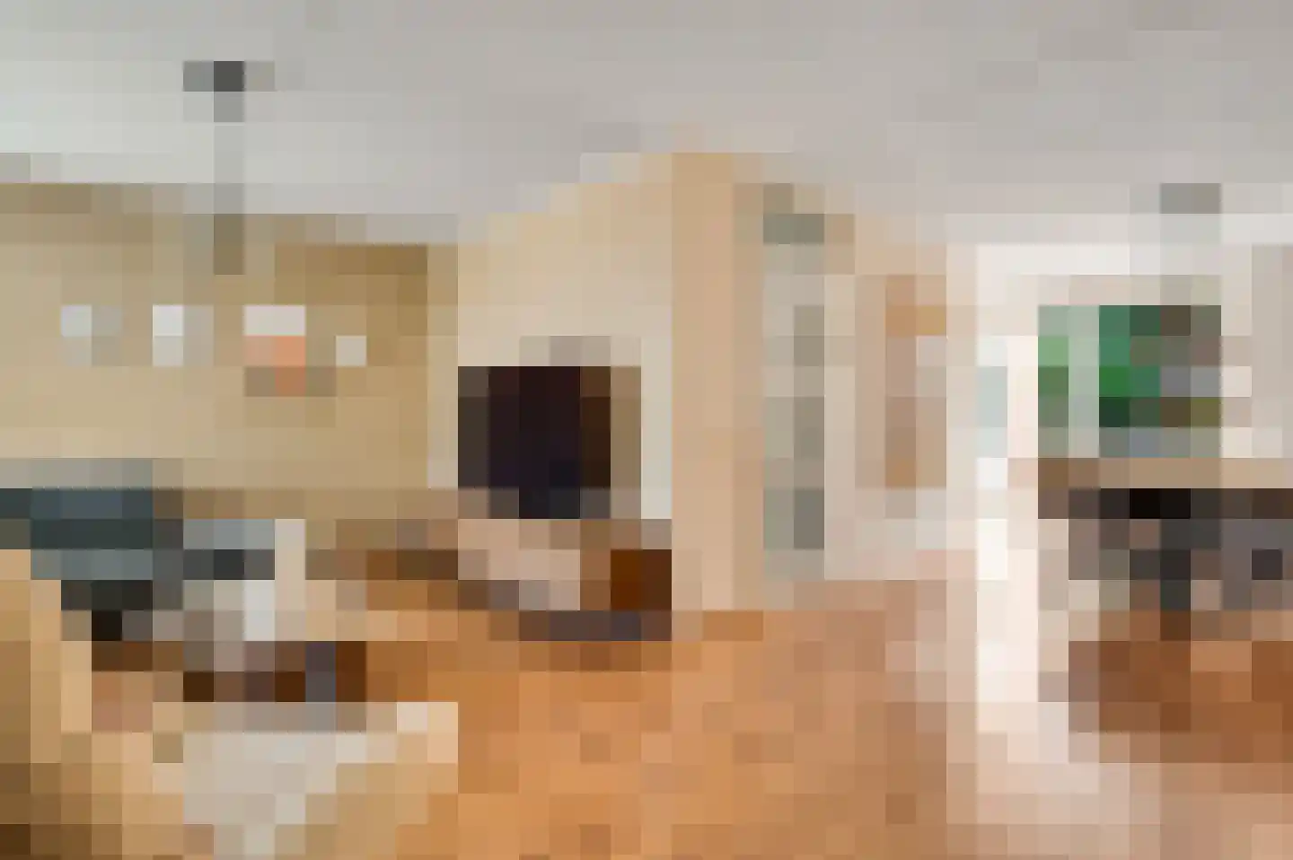 Langen Dries 24 Herten thumbnail 14