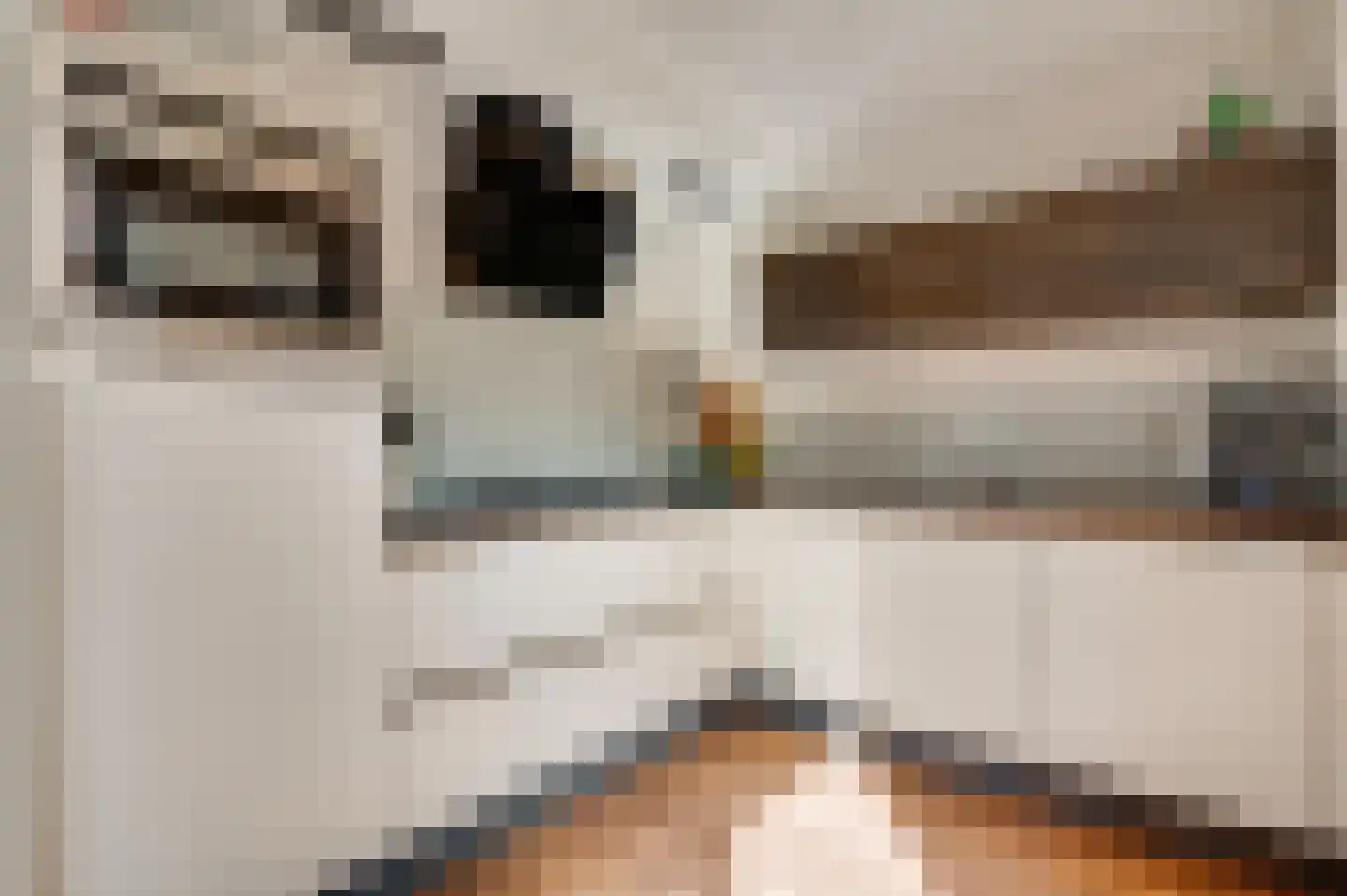 Langen Dries 24 Herten thumbnail 17