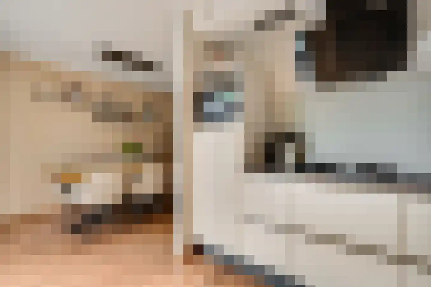 Langen Dries 24 Herten thumbnail 18