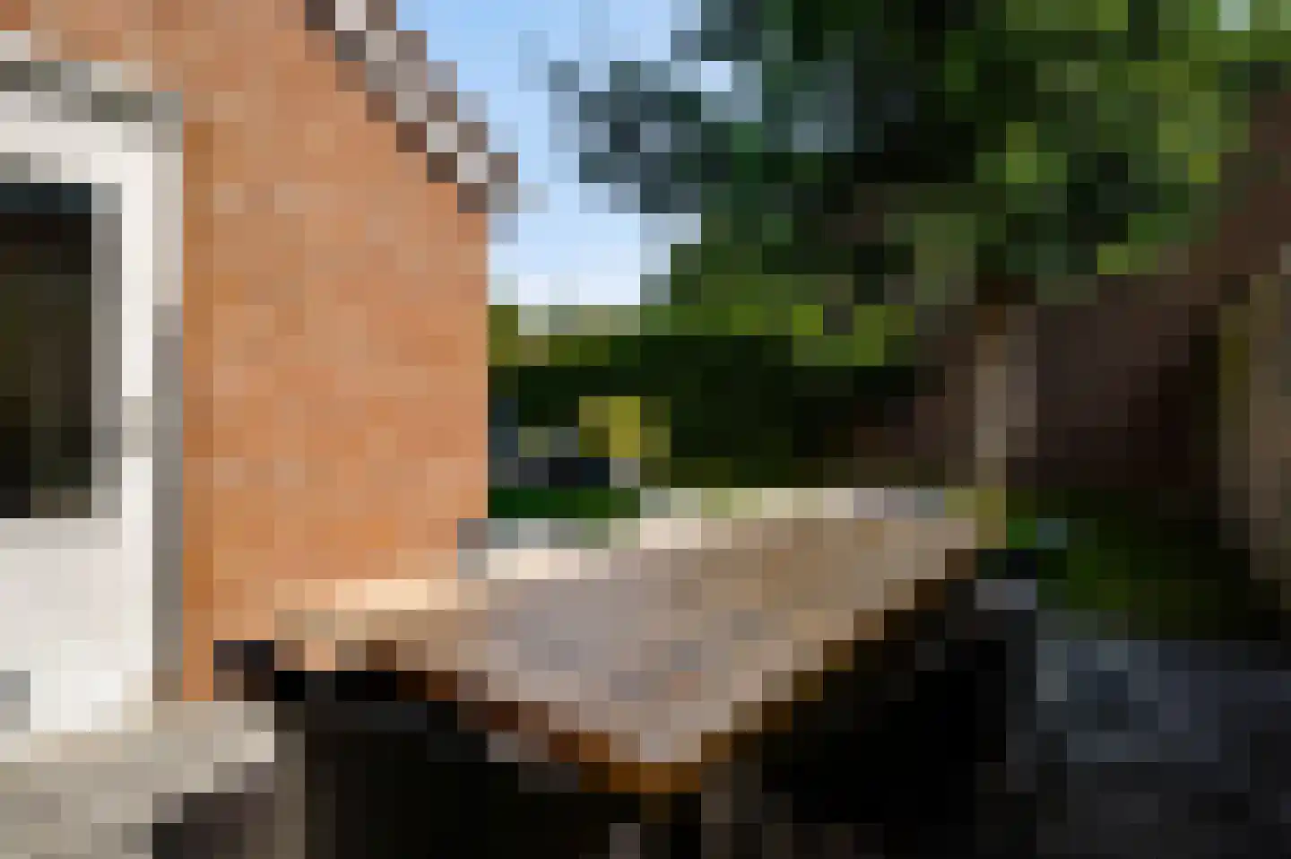 Langen Dries 24 Herten thumbnail 22