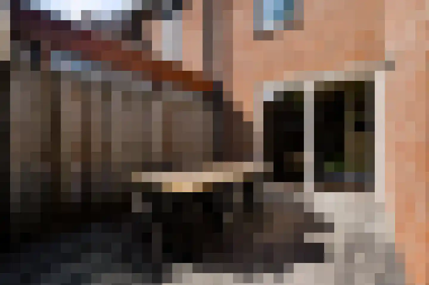 Langen Dries 24 Herten thumbnail 23
