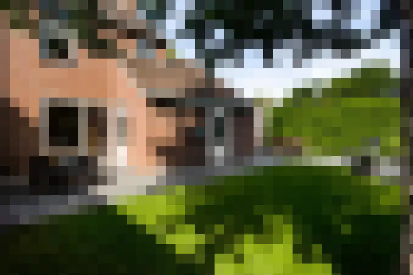 Langen Dries 24 Herten thumbnail 24