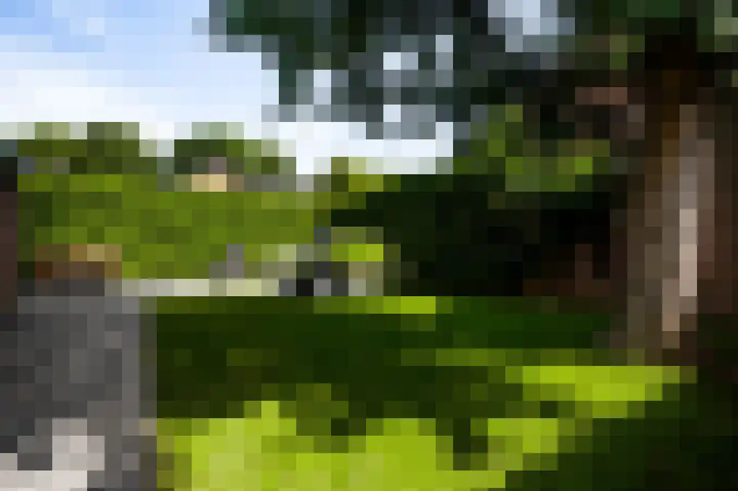 Langen Dries 24 Herten thumbnail 25