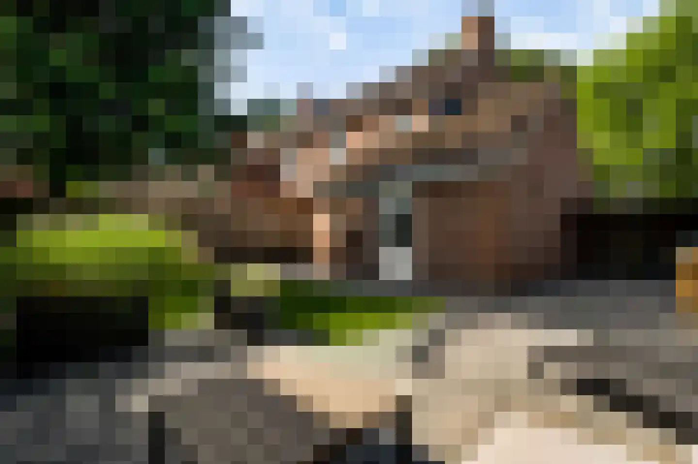 Langen Dries 24 Herten thumbnail 27