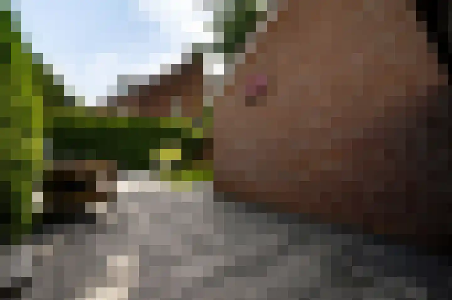 Langen Dries 24 Herten thumbnail 29