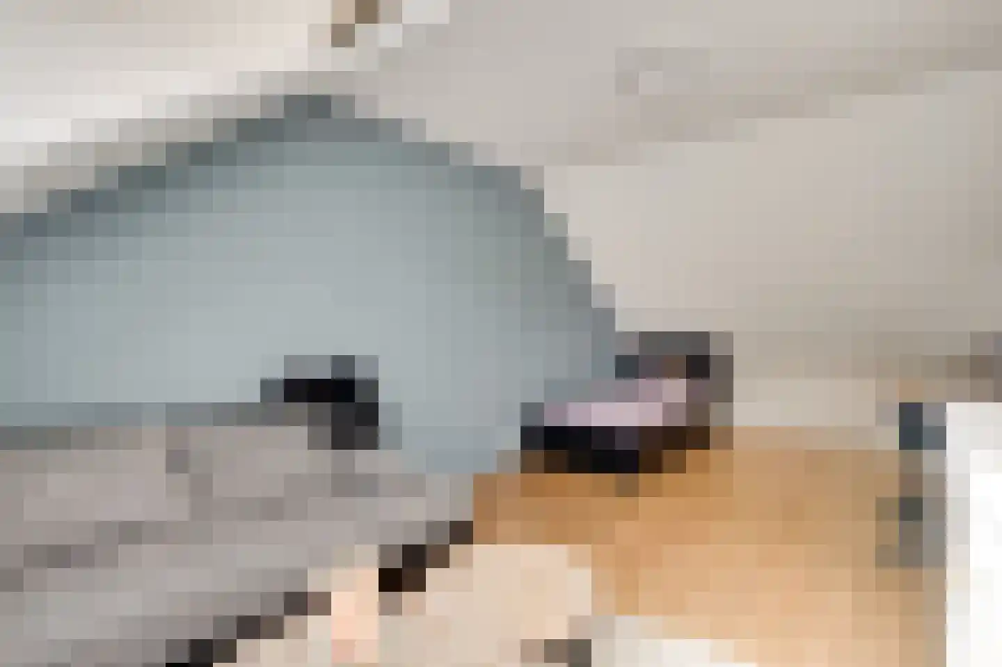 Langen Dries 24 Herten thumbnail 39