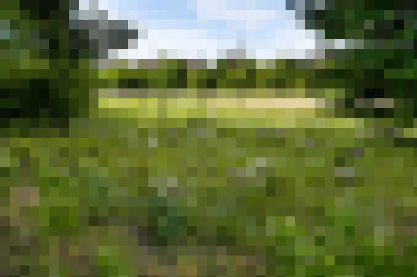 Langen Dries 24 Herten thumbnail 43
