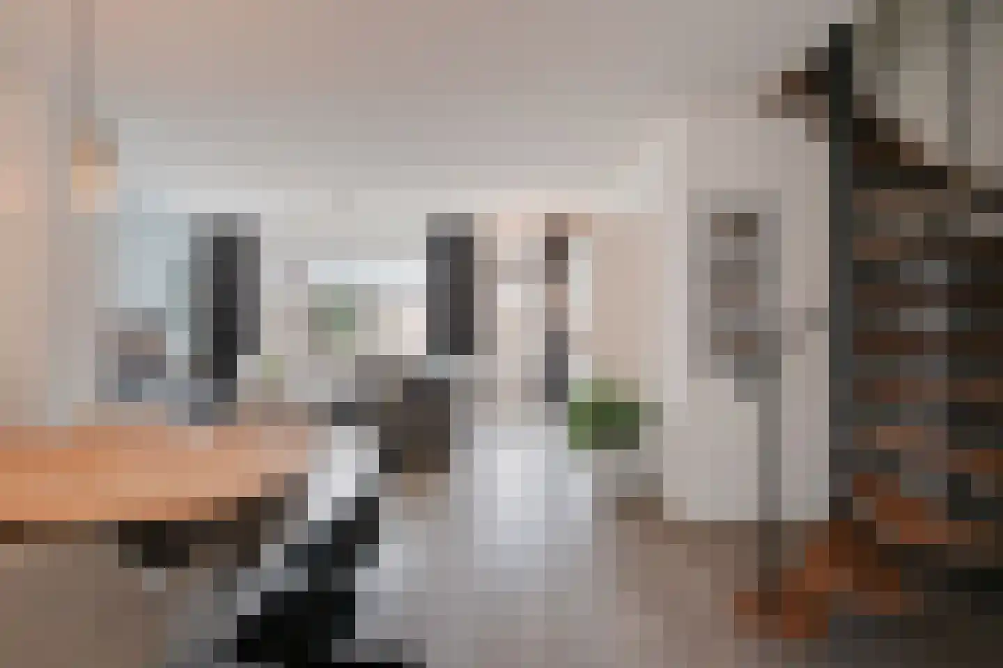 Langenakker 112 Mierlo thumbnail 20
