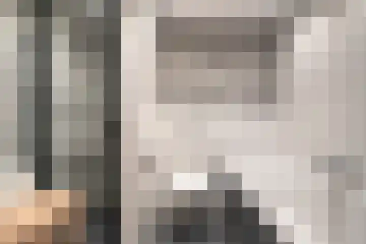 Langenakker 112 Mierlo thumbnail 30