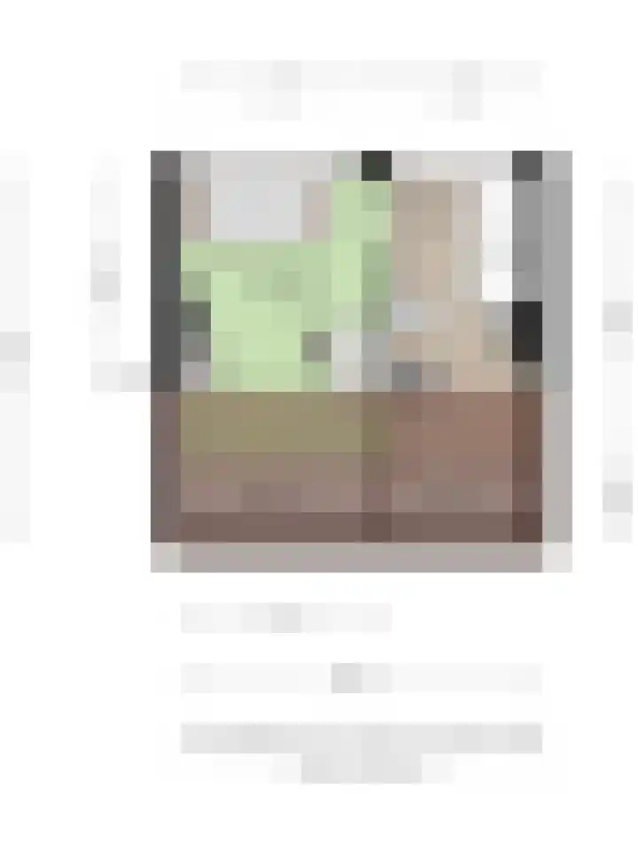 Langenakker 112 Mierlo thumbnail 41