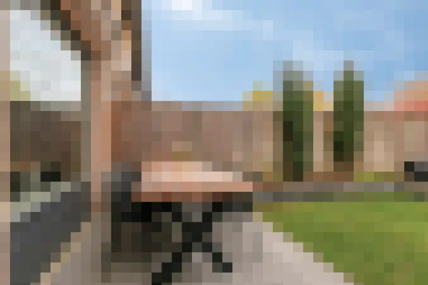 Langenakker 112 Mierlo thumbnail 42