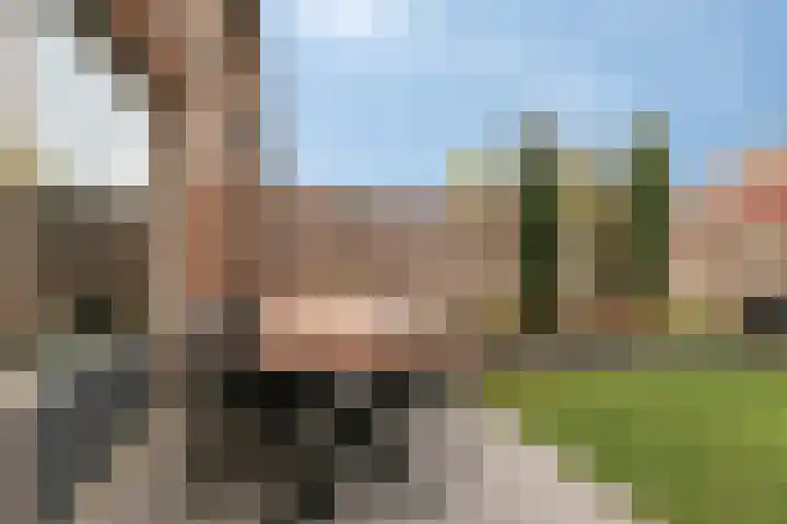 Langenakker 112 Mierlo thumbnail 42