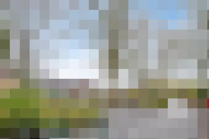 Langenakker 112 Mierlo thumbnail 50