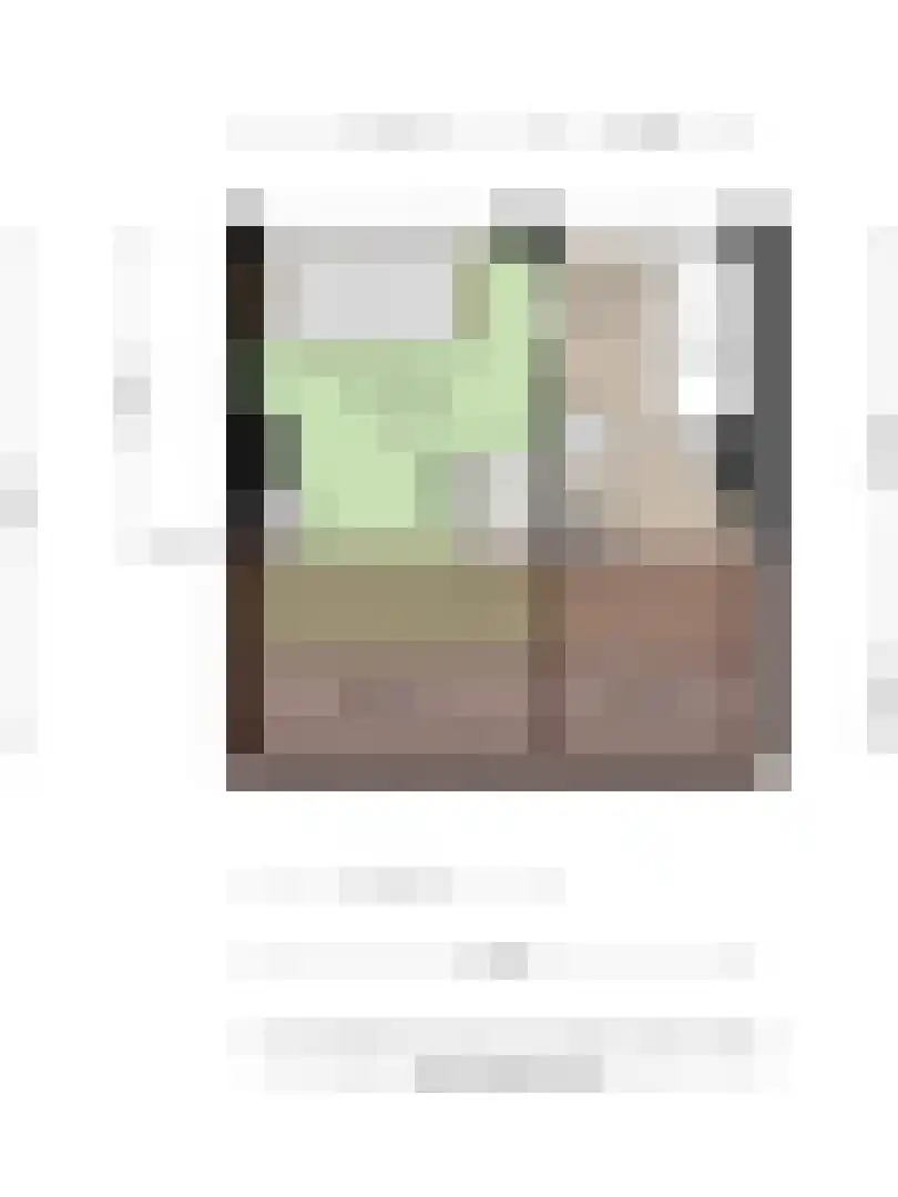 Langenakker 112 Mierlo thumbnail 53