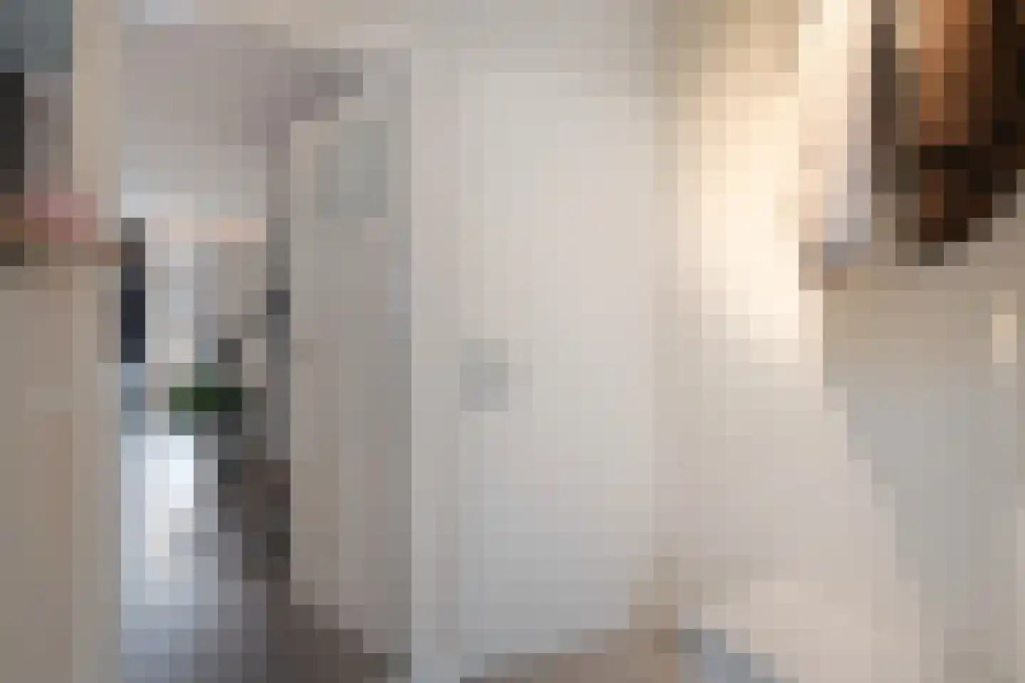 Langenakker 112 Mierlo thumbnail 8