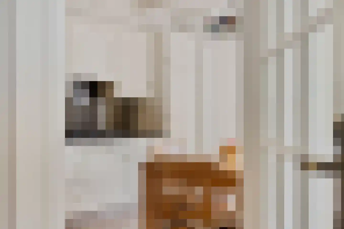 Langenakker 12 Rijsbergen thumbnail 11