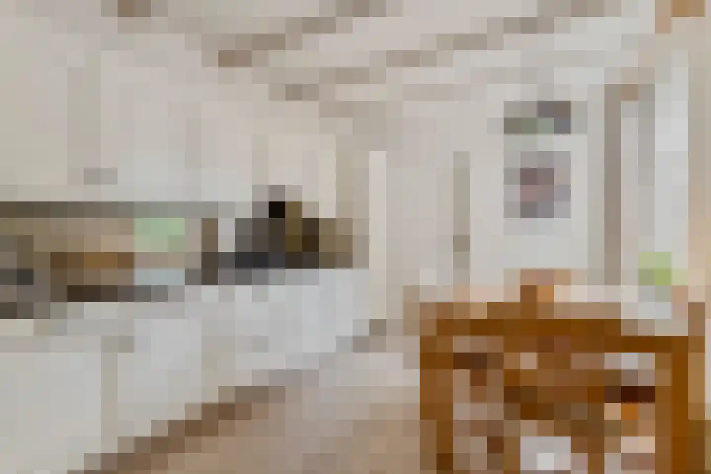 Langenakker 12 Rijsbergen thumbnail 13