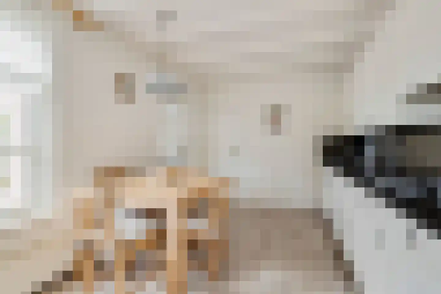 Langenakker 12 Rijsbergen thumbnail 14