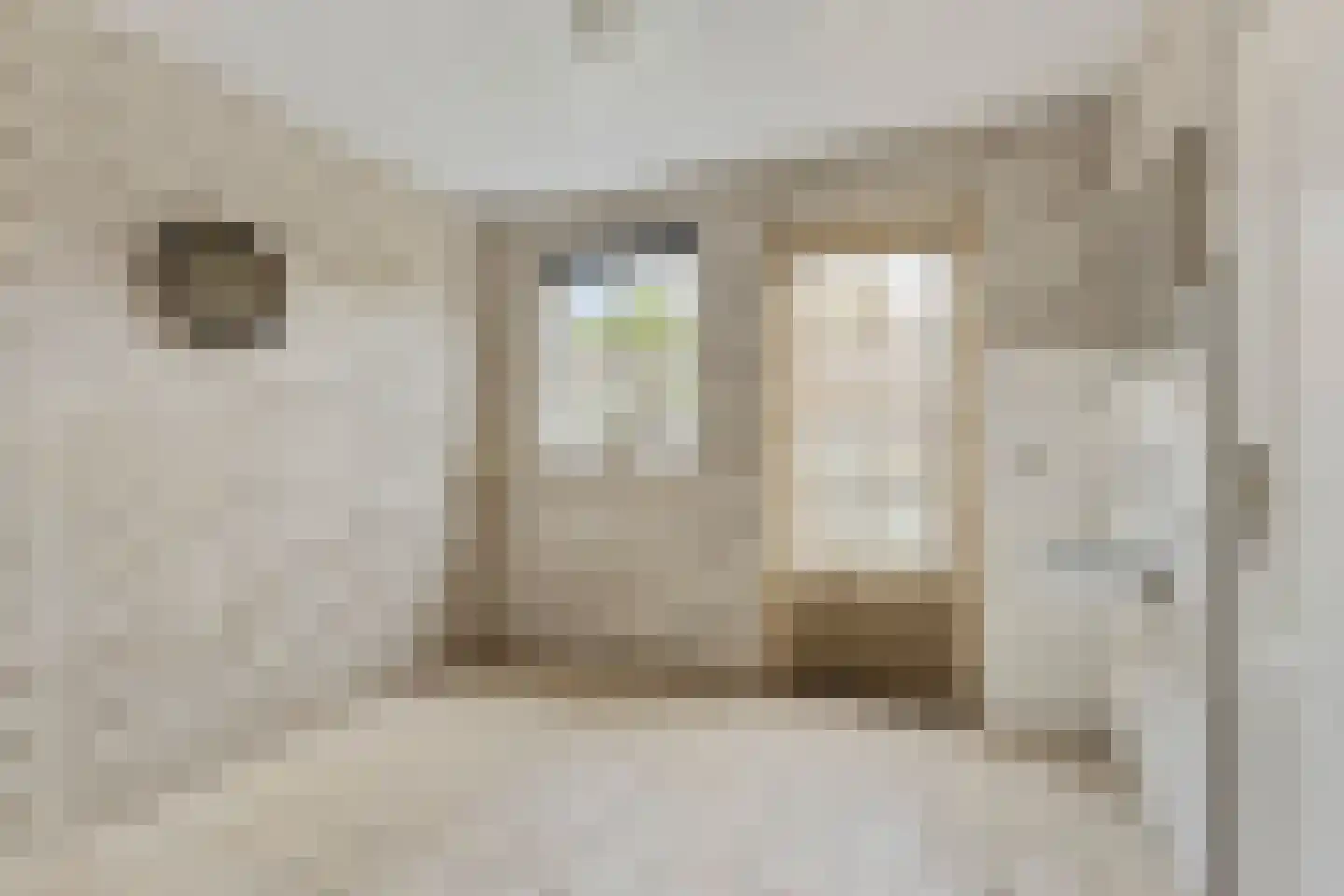 Langenakker 12 Rijsbergen thumbnail 16