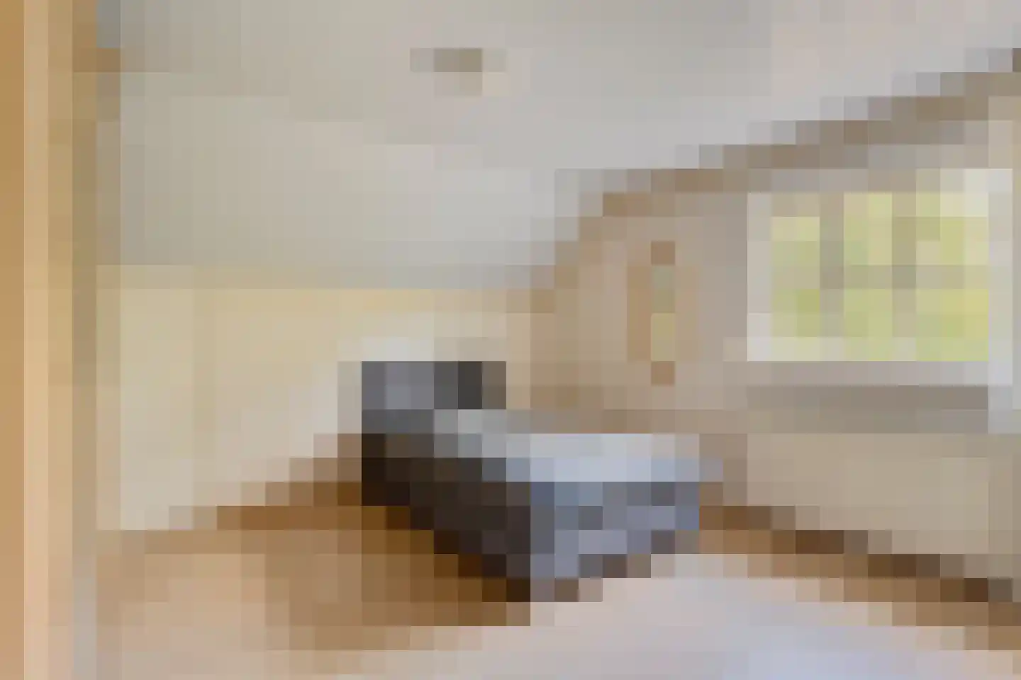 Langenakker 12 Rijsbergen thumbnail 20