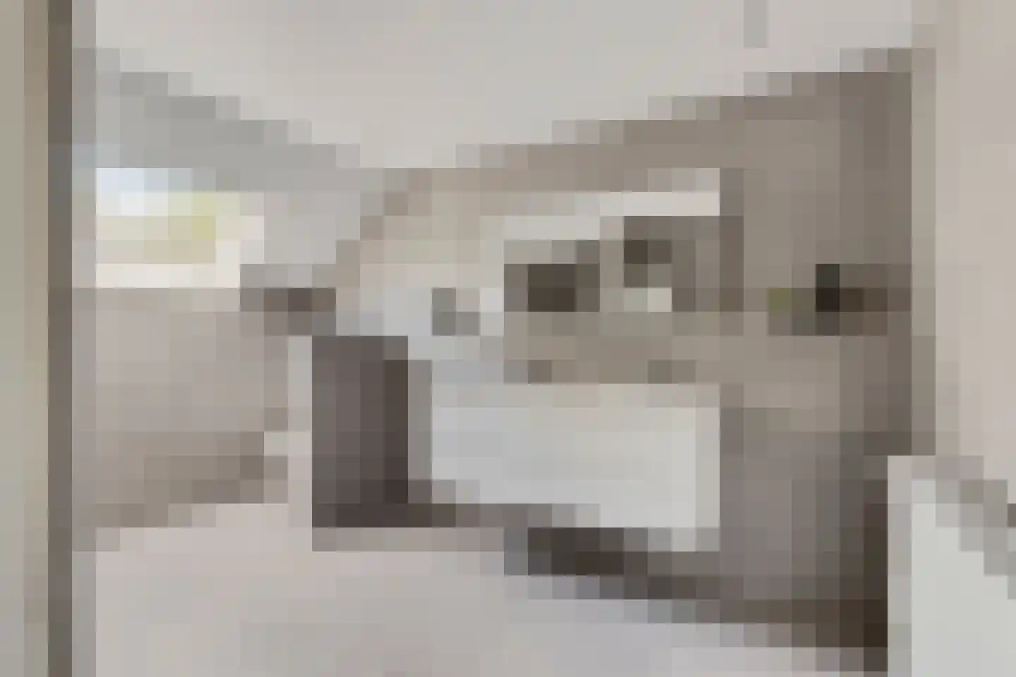 Langenakker 12 Rijsbergen thumbnail 22