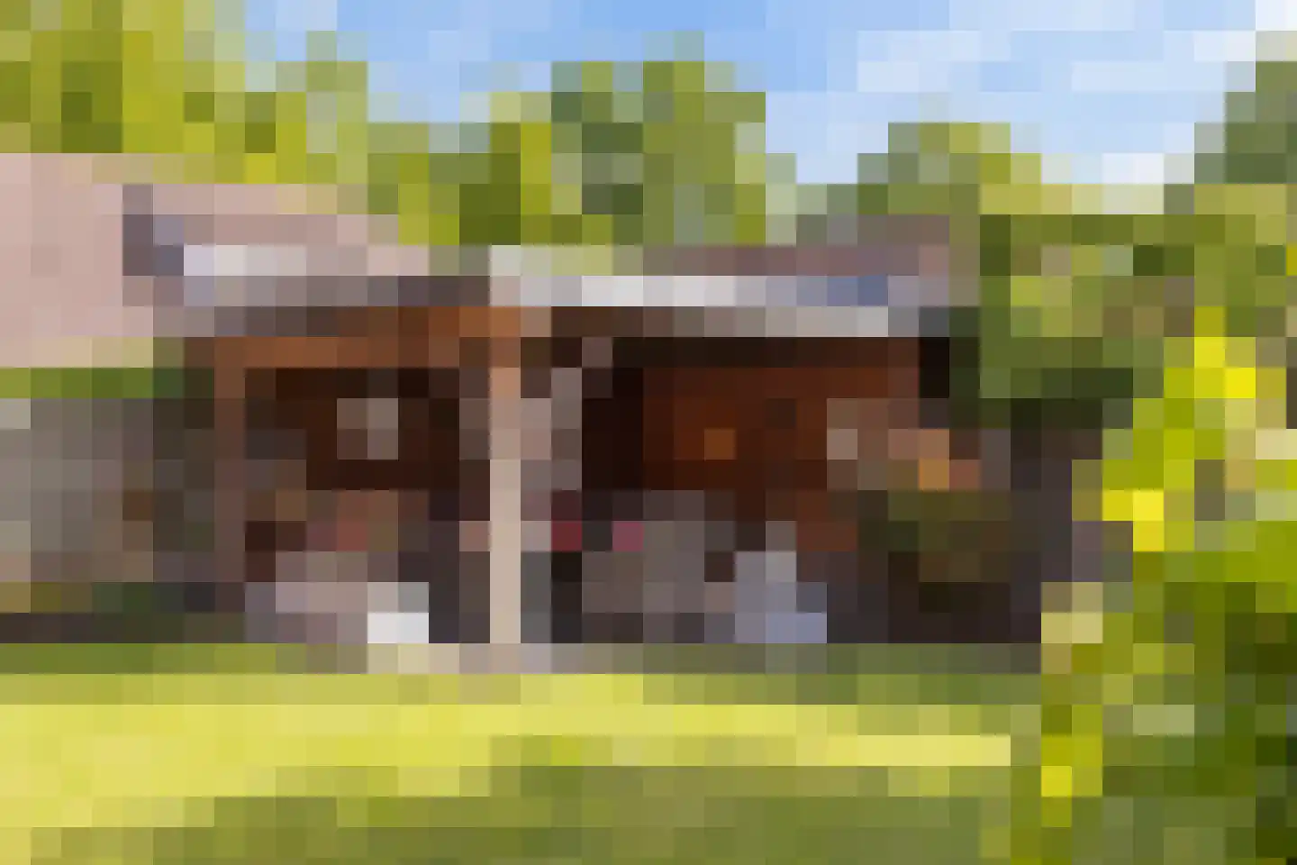 Langenakker 12 Rijsbergen thumbnail 33